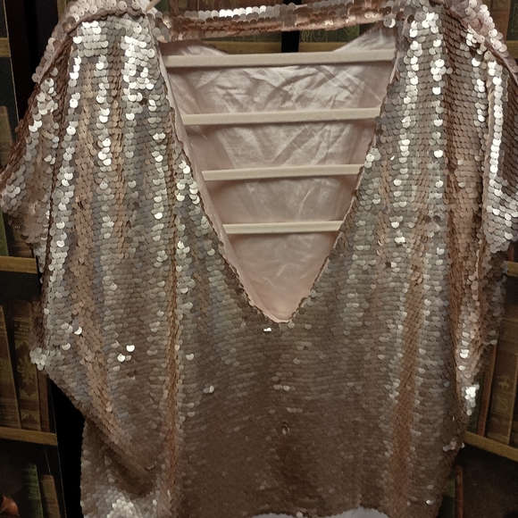 Elvi/ size US 16 mauve pink sequin short sleeves Top - Picture 2 of 6